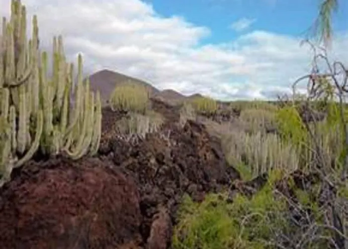 Malpais De With Pool Prázdninový dům Candelaria